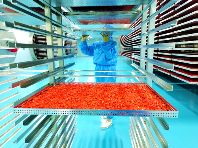 2020年6月22日，百瑞源與中國農業大學合作的枸杞行業首家智能化鎖鮮枸杞生產線正式投產運營。