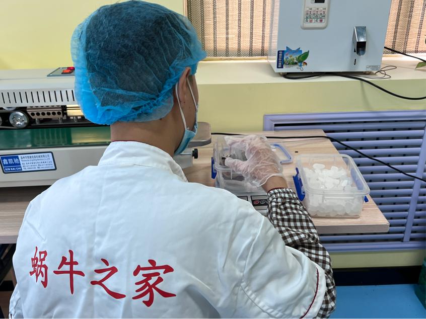 蝸牛之家的學員正在學習八寶茶分揀包裝。崔亞芝攝