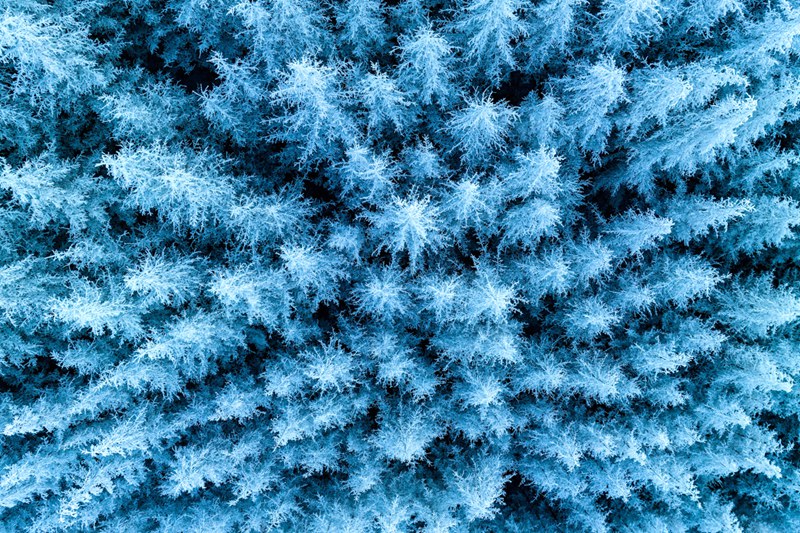 寧夏六盤山現霧凇美景。祁瀛濤攝