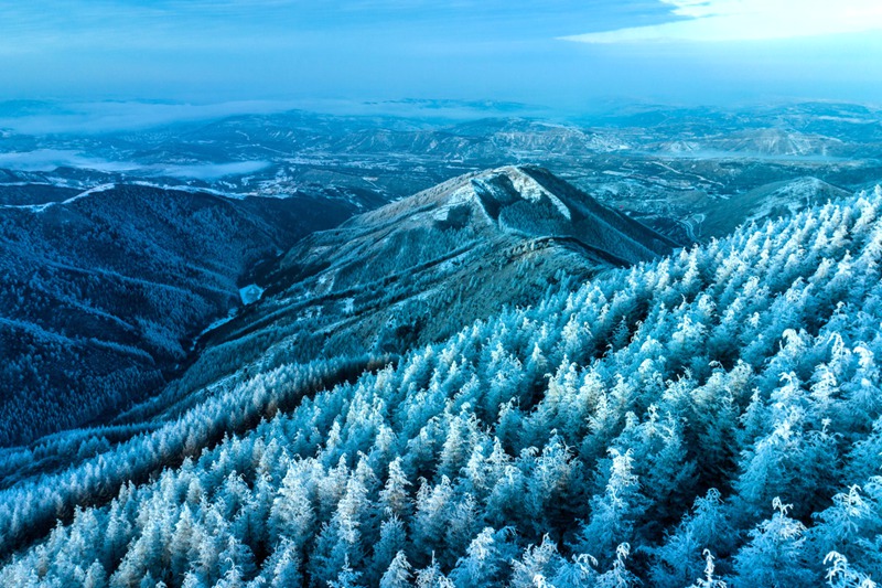 寧夏六盤山現霧凇美景。祁瀛濤攝