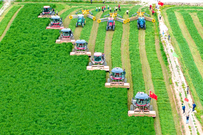 全程機械化作業。祁瀛濤攝