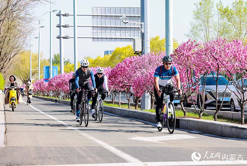 參加活動市民賞花騎行。王劭凱攝