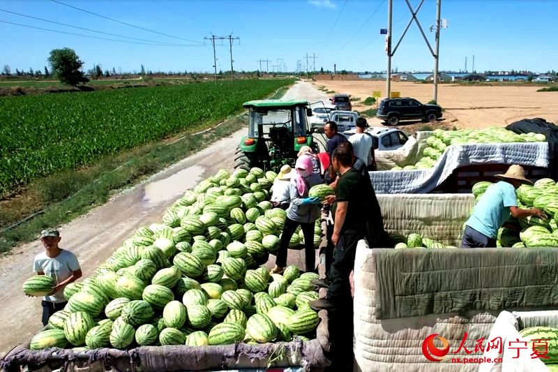 瓜農正在裝瓜。人民網記者 閻夢婕攝