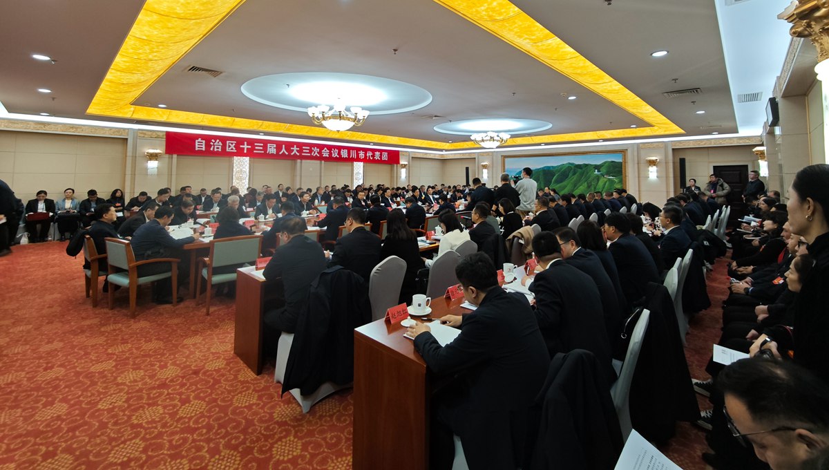 銀川市代表團共同審議政府工作報告