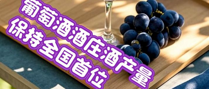 兩會觀察丨這，就是美麗新寧夏