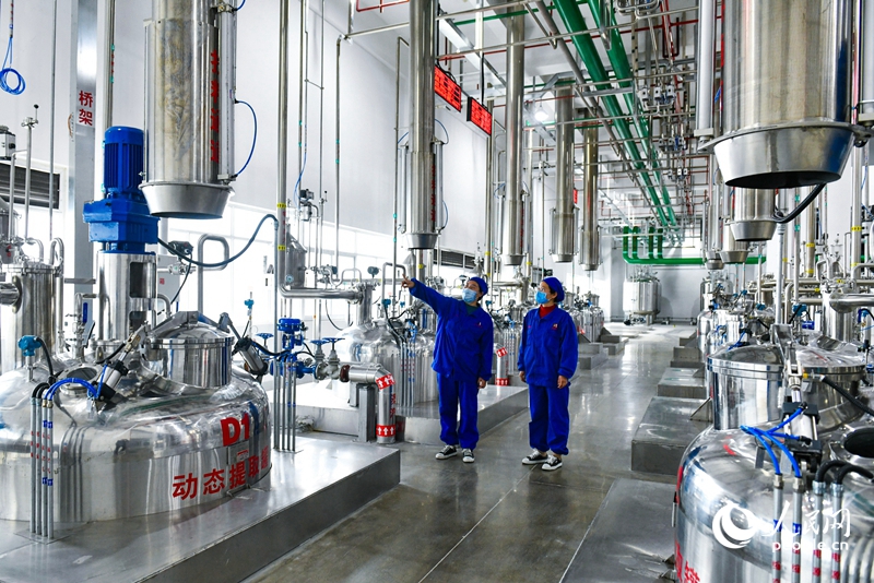 配方顆粒智能車間，中藥可實現自動化高效提取。人民網 程明輝攝