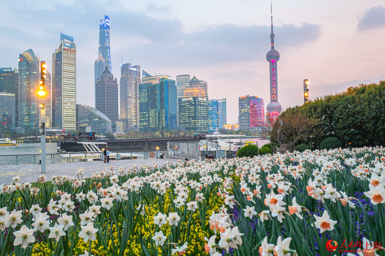 北外灘繁花似錦，景色迷人。 人民網記者 王初攝