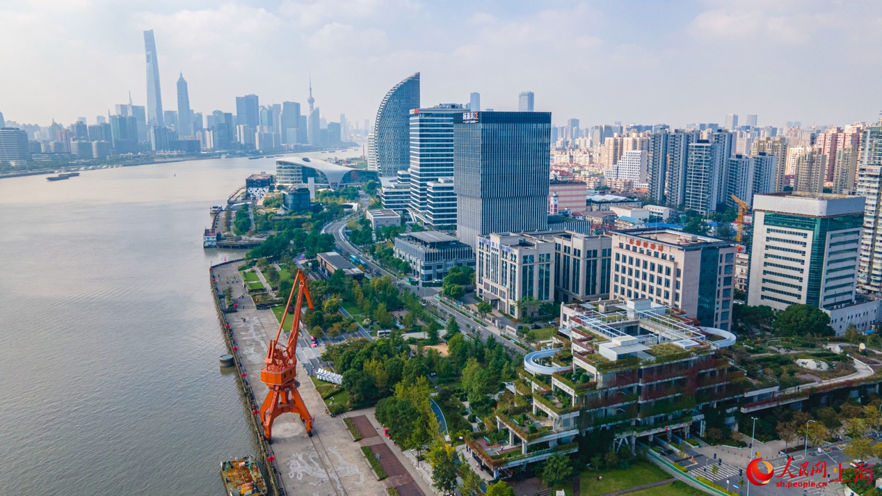 遠眺楊浦濱江。 人民網記者 王初攝