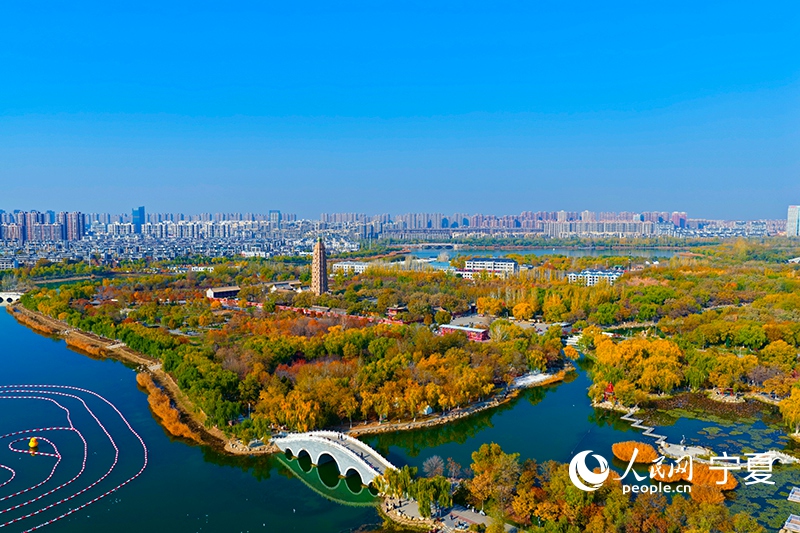 航拍銀川市興慶區海寶公園秋日景色。人民網記者 梁宏鑫攝