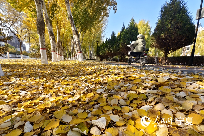 市民騎行在慢行小道，與美景伴行 。人民網記者 梁宏鑫攝