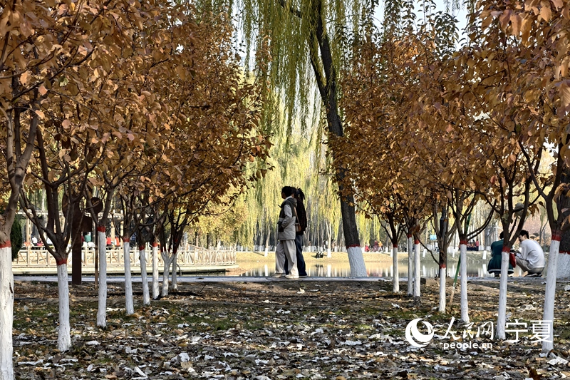 市民在鳳凰公園漫步，欣賞秋日美景。人民網記者 梁宏鑫攝