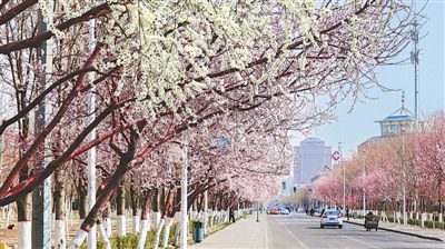 <p>    45ʯɽдڅ^·һ`ɞڴһص</p><p>    ӛ  z </p>