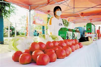 <p></p></p><br/><p> 本報記者 王沛瑤 攝</p>