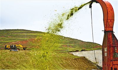 <p></p></p><br/><p> 本報記者 剡文鑫 攝</p>