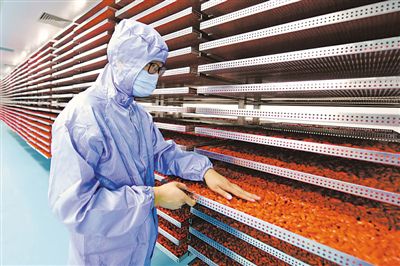 <p></p></p><p>ӛߡXҡz</p>