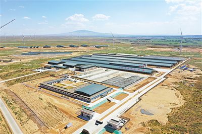 <p></p></p><p> 本報記者 杜曉星 實習生 彭斌 攝</p>