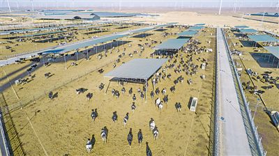 <p></p><p> 本報記者 王鼎 黨碩 攝</p>