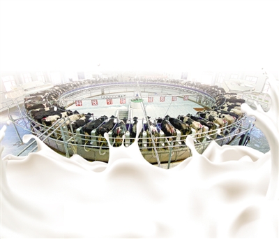 <p></p></p><p> 本報記者 杜曉星 實習生 彭斌 攝</p>