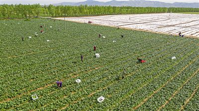 <p></p><p> 本報記者 左鳴遠 攝</p>