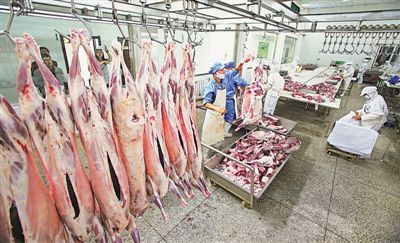 <p></p><p> 本報記者 王猛 攝</p>