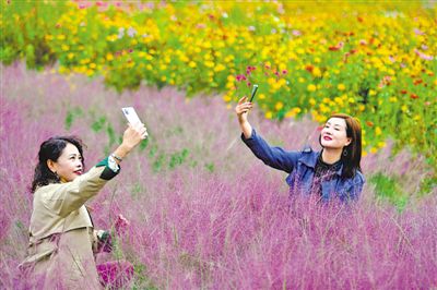 <p>    yеrrʢĭh˂</p>