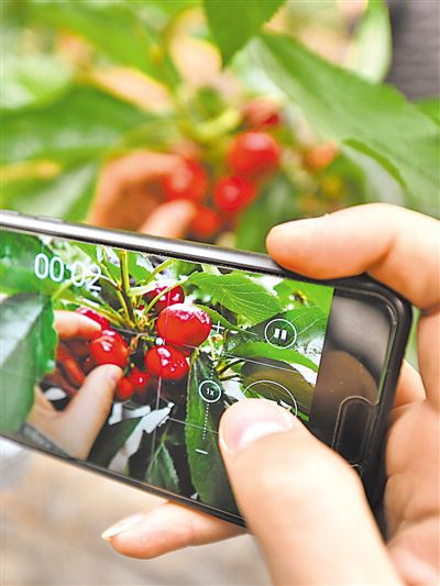 <p>    Rmhƽ@^OʩtGGęwwMTժĿt</p>