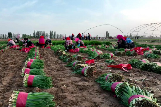 2022-05-11 16-57-50.jpg