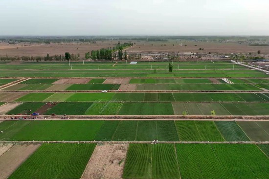 2022-05-11 16-59-53.jpg